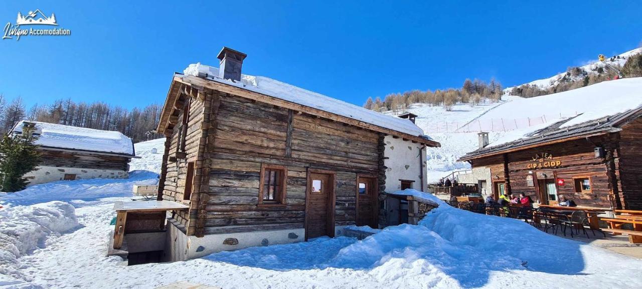 Mountain Chalet Scoiattolo By Livigno Accomodation Eksteriør billede
