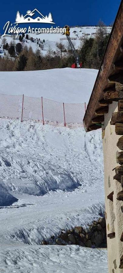 Mountain Chalet Scoiattolo By Livigno Accomodation Eksteriør billede