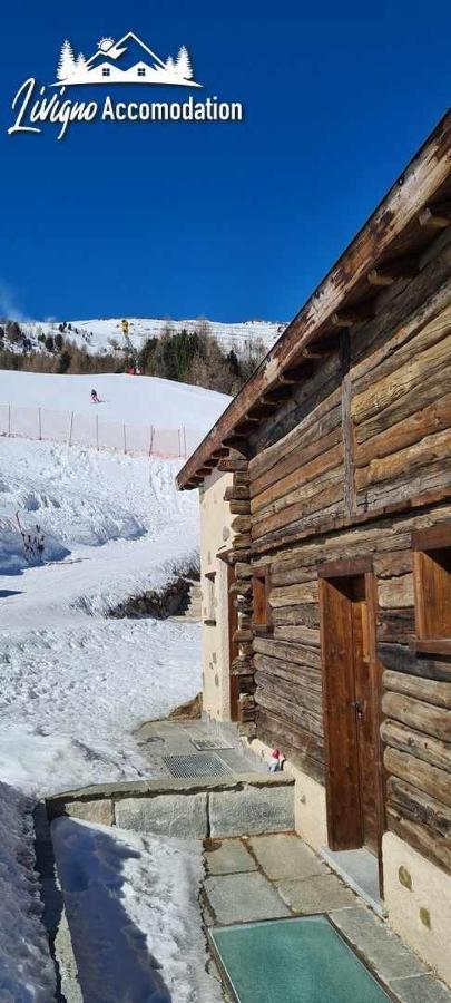 Mountain Chalet Scoiattolo By Livigno Accomodation Eksteriør billede