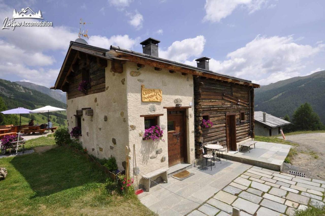 Mountain Chalet Scoiattolo By Livigno Accomodation Eksteriør billede