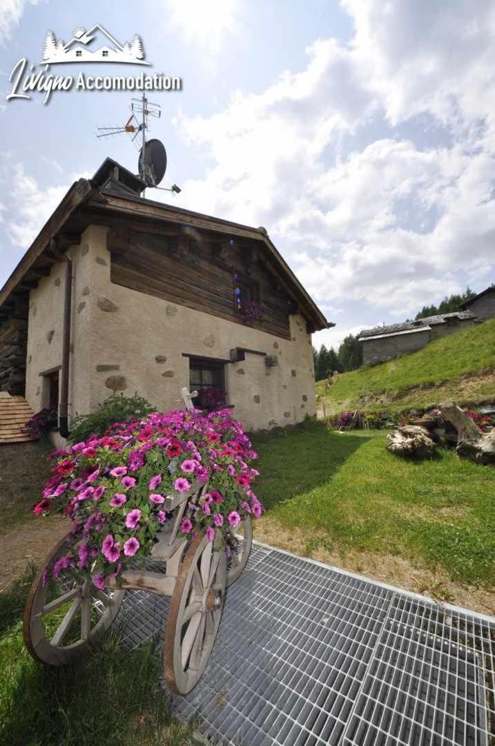 Mountain Chalet Scoiattolo By Livigno Accomodation Eksteriør billede