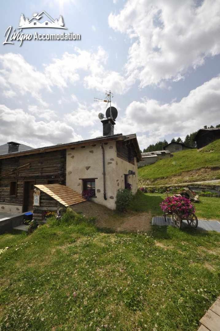 Mountain Chalet Scoiattolo By Livigno Accomodation Eksteriør billede