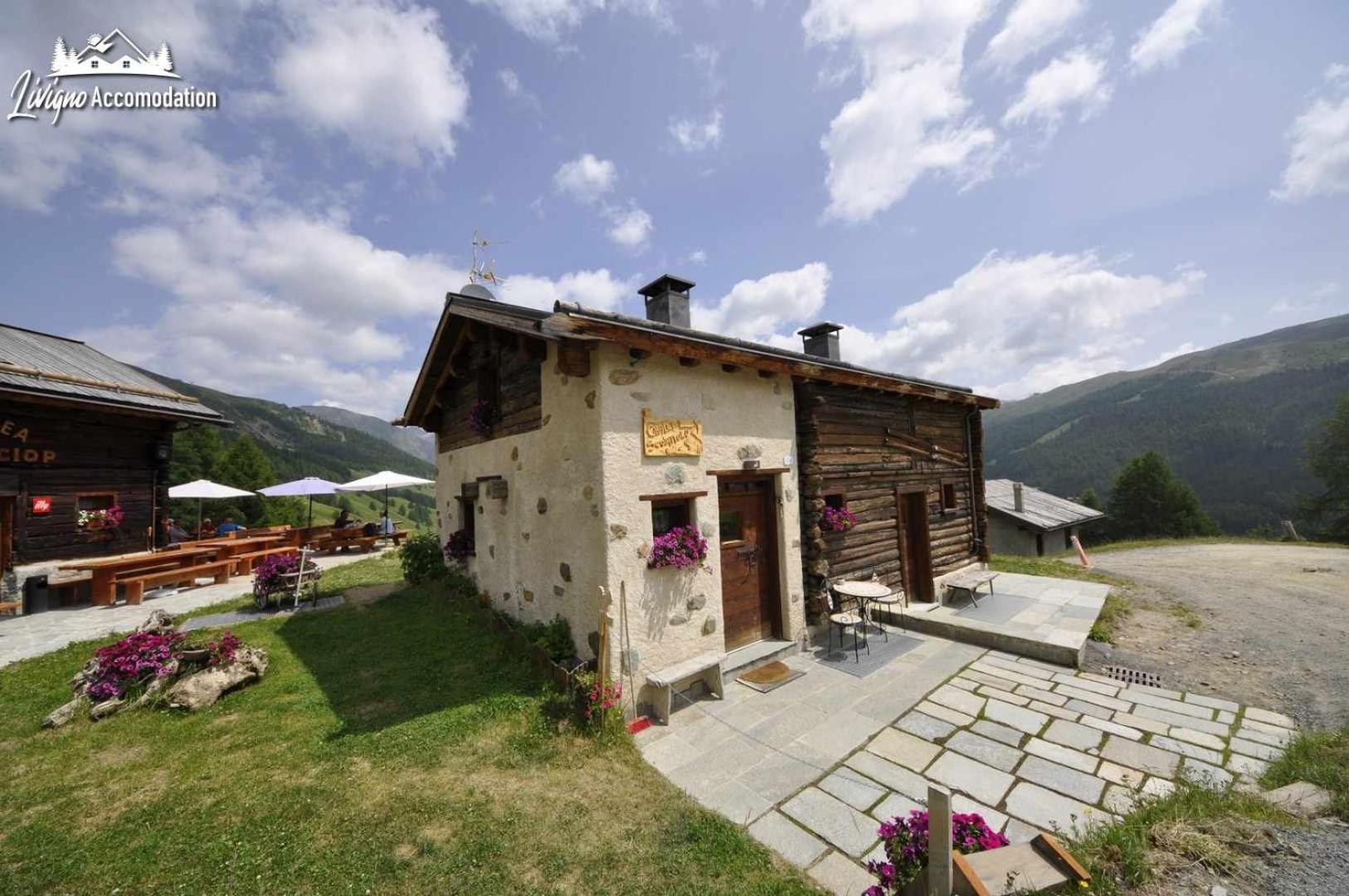 Mountain Chalet Scoiattolo By Livigno Accomodation Eksteriør billede