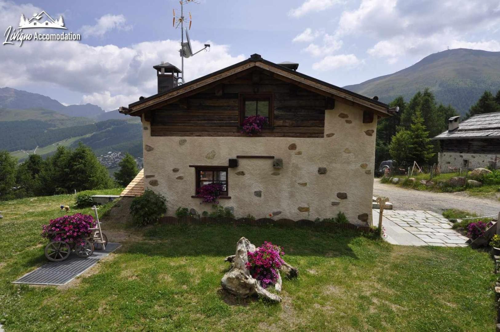 Mountain Chalet Scoiattolo By Livigno Accomodation Eksteriør billede