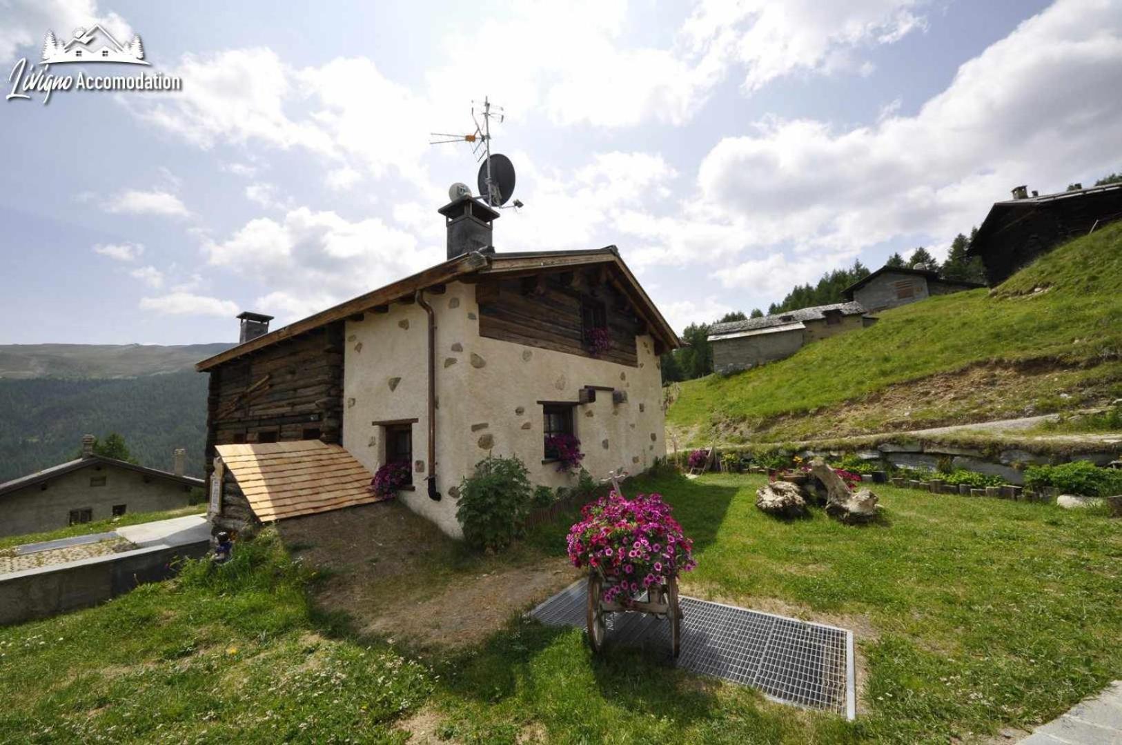 Mountain Chalet Scoiattolo By Livigno Accomodation Eksteriør billede
